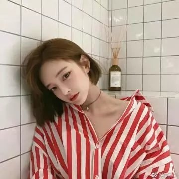木材宝藏狗