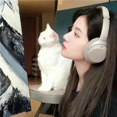 狮子护卫队第一季